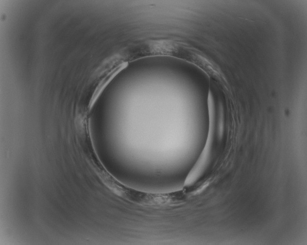 X0000081310329200701111314