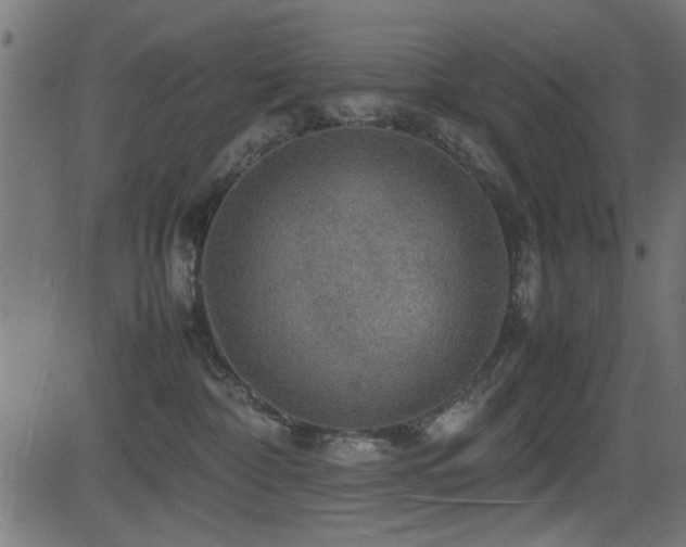 X0000081310332200701111314