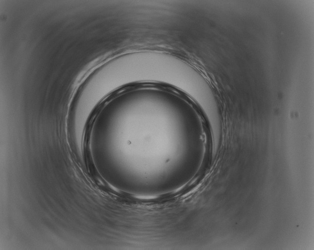 X0000081310340200701111314