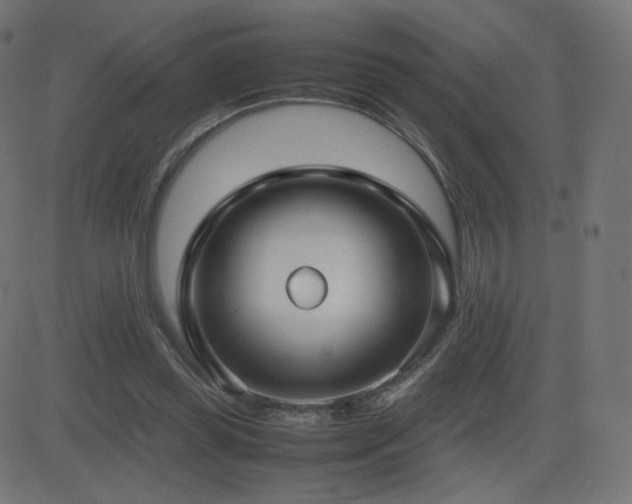 X0000081310349200701111314