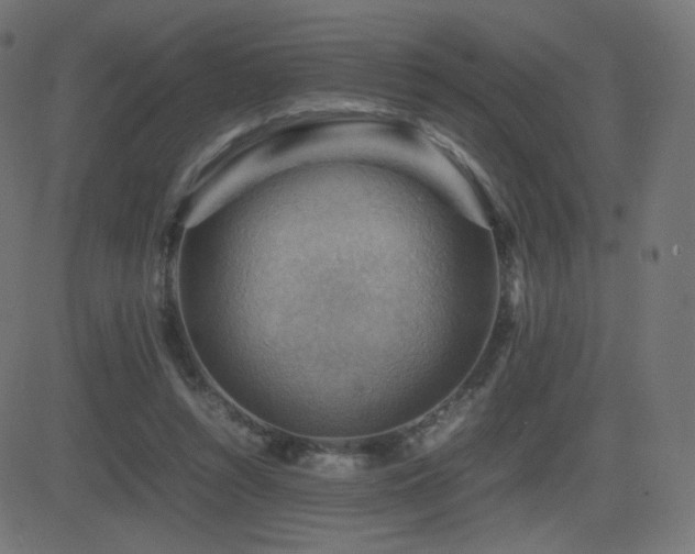 X0000081310352200701111314