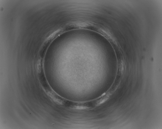 X0000081310360200701111314
