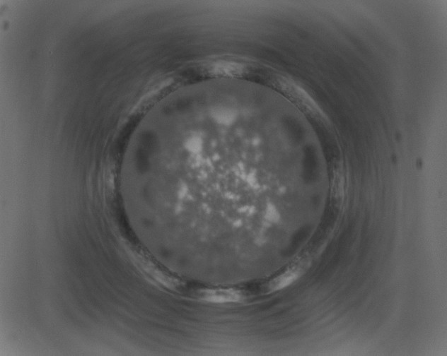 X0000081310363200701111314
