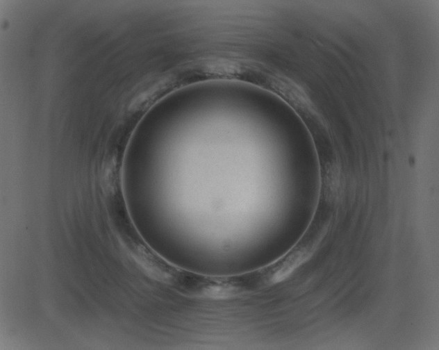 X0000081310364200701111314