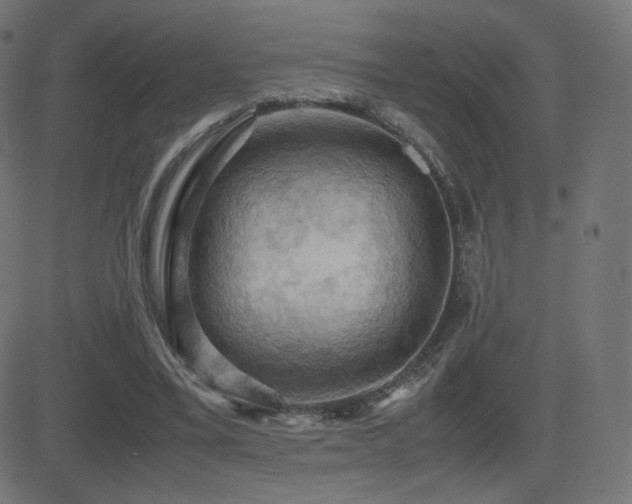 X0000081310395200701111313