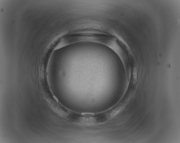 X0000081310403200701111313