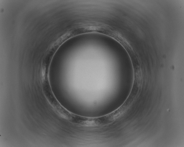 X0000081310406200701111313