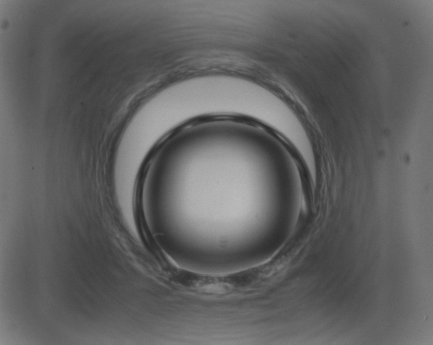 X0000081310407200701111313