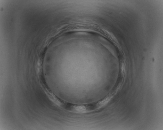 X0000081310409200701111313