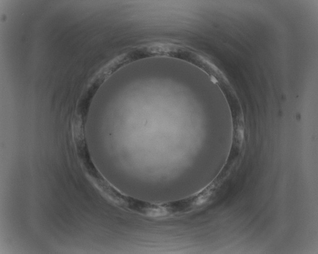 X0000081310411200701111313