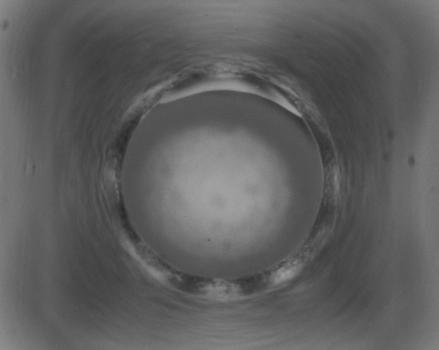 X0000081310415200701111313