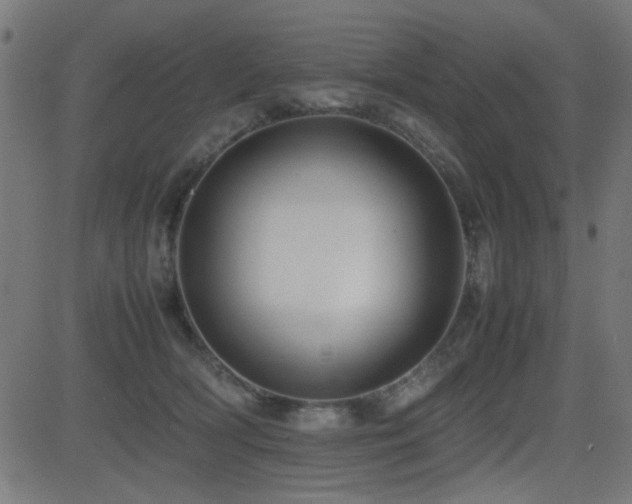X0000081310418200701111313