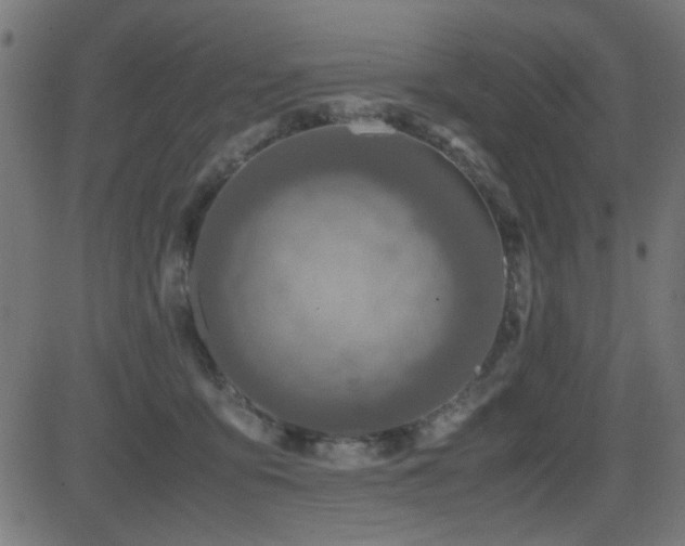 X0000081310419200701111313