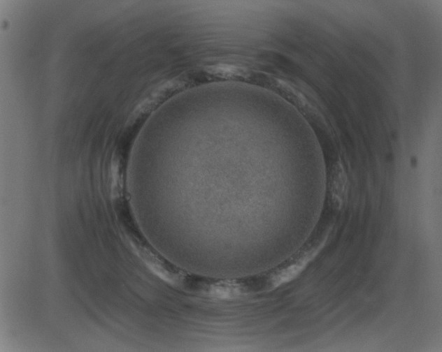 X0000081310420200701111313