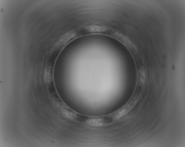 X0000081310422200701111313