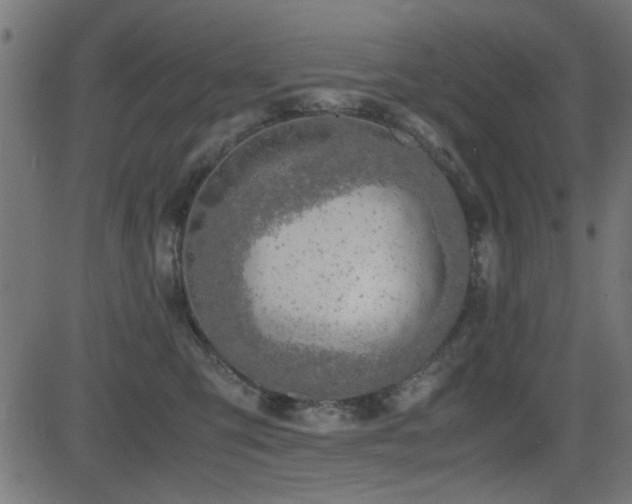 X0000081310423200701111313