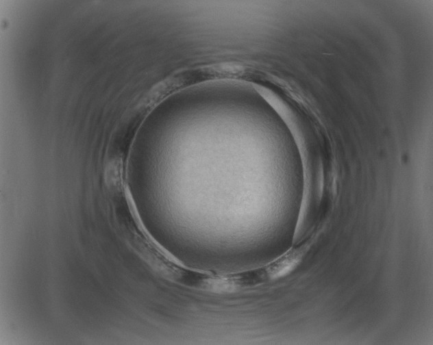 X0000081310425200701111313