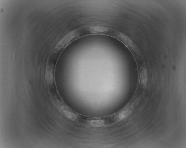 X0000081310426200701111313