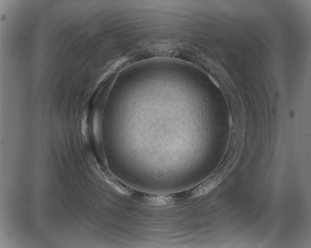 X0000081310432200701111313