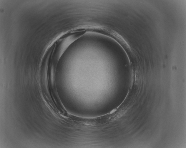 X0000081310436200701111312