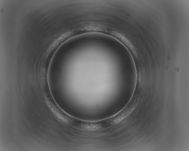X0000081310445200701111312
