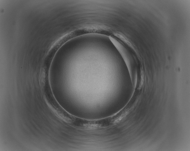 X0000081310448200701111312