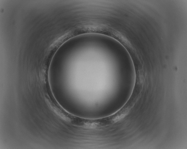 X0000081310450200701111312