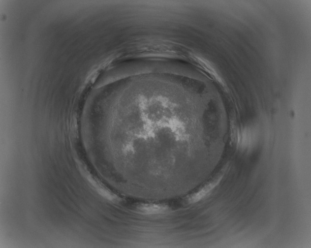 X0000081310453200701111312