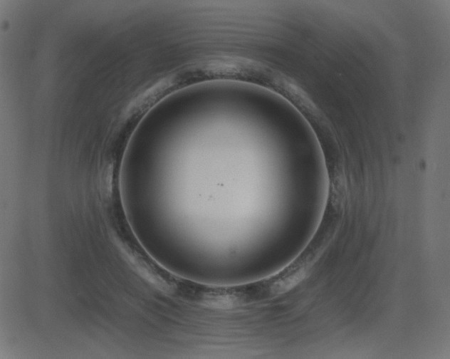 X0000081310454200701111312