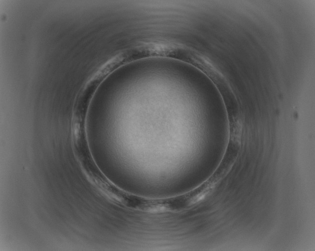 X0000081310456200701111312