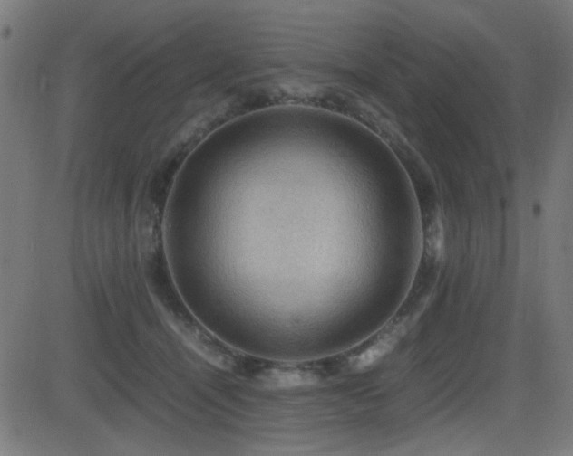 X0000081310464200701111312