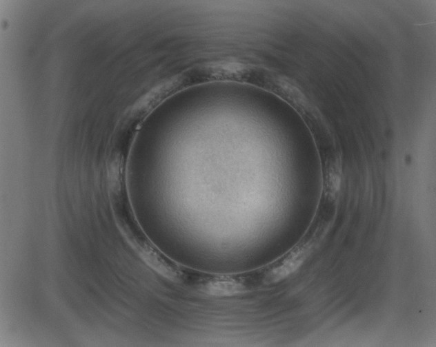 X0000081310468200701111312