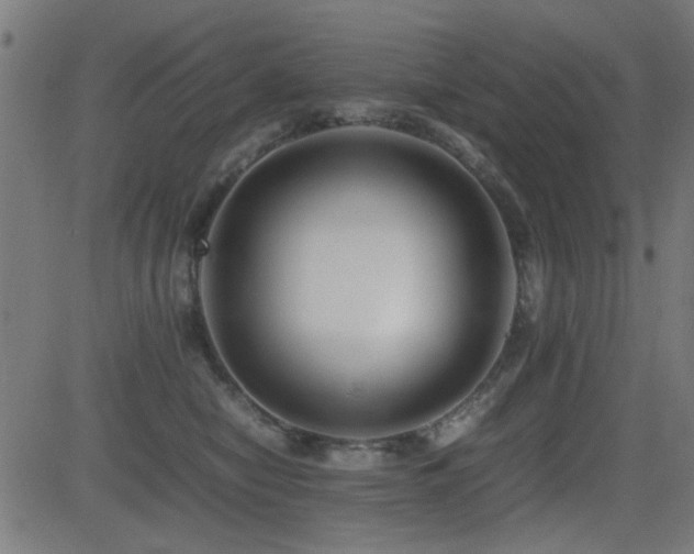 X0000081310470200701111313