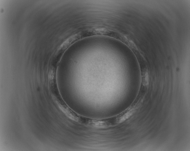X0000081310472200701111313