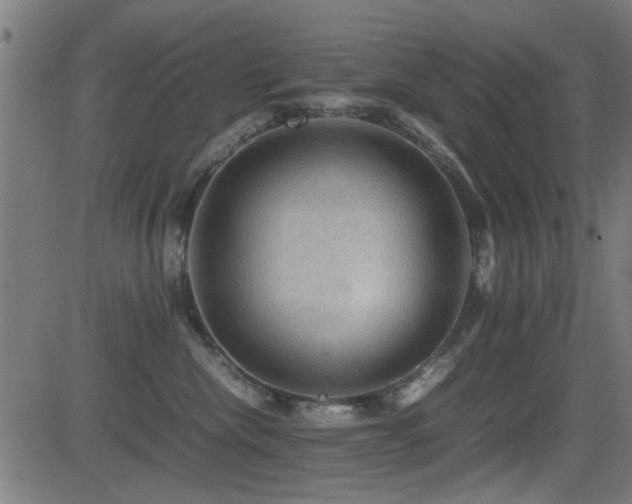 X0000081310476200701111313