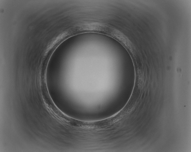 X0000081310482200701111312