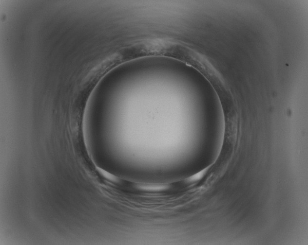 X0000081310505200701111311