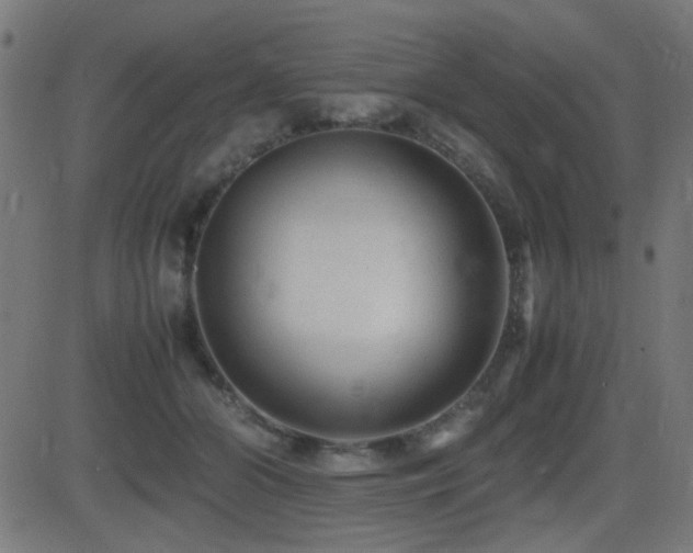 X0000081310510200701111311