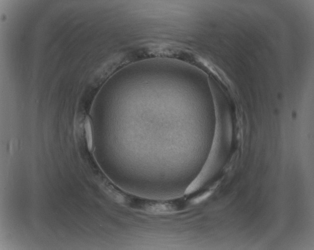 X0000081310513200701111311