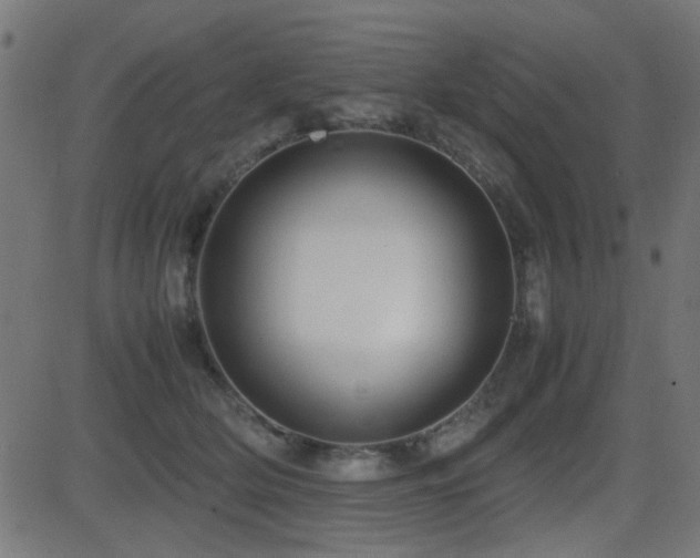 X0000081310514200701111311
