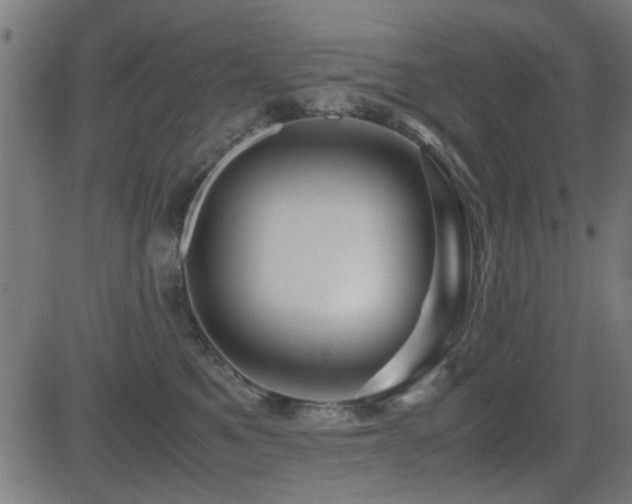X0000081310521200701111311