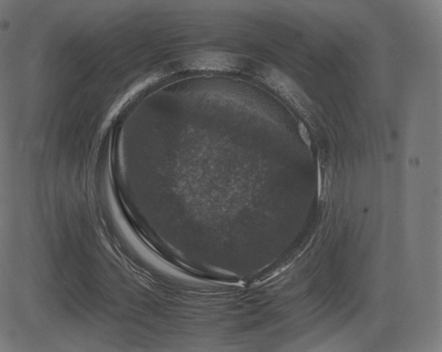 X0000081310531200701111310