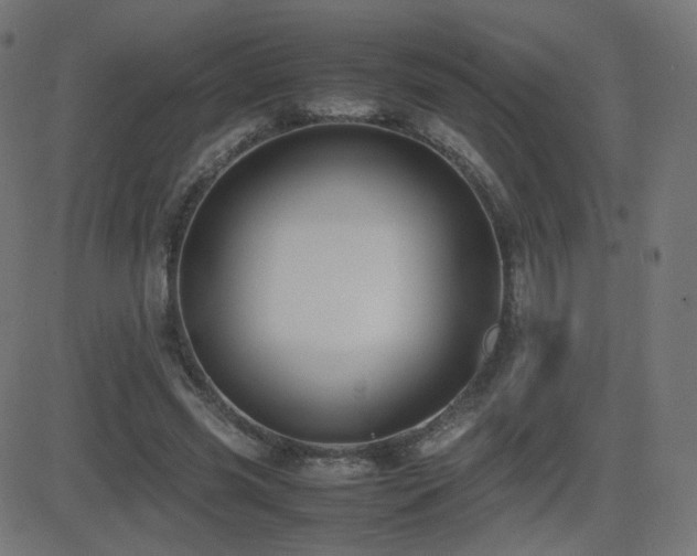 X0000081310541200701111311