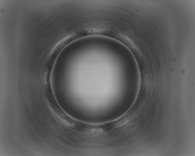 X0000081310543200701111311