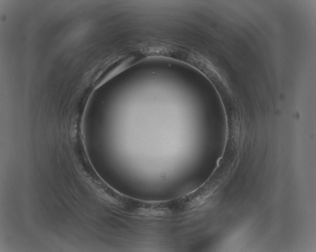 X0000081310545200701111311