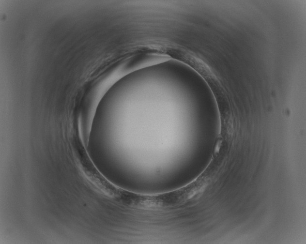X0000081310546200701111311