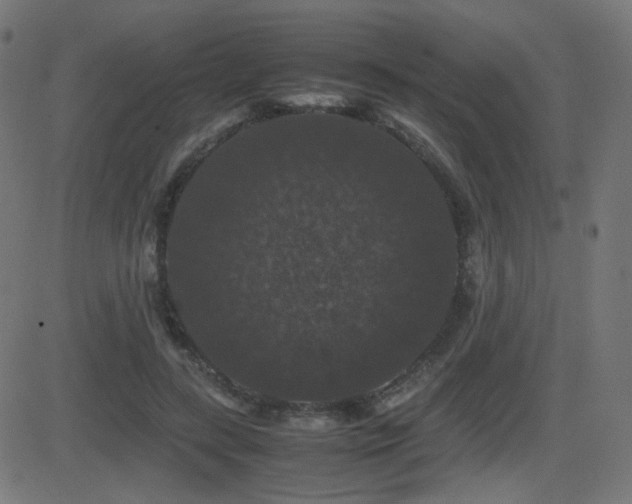 X0000081310547200701111311