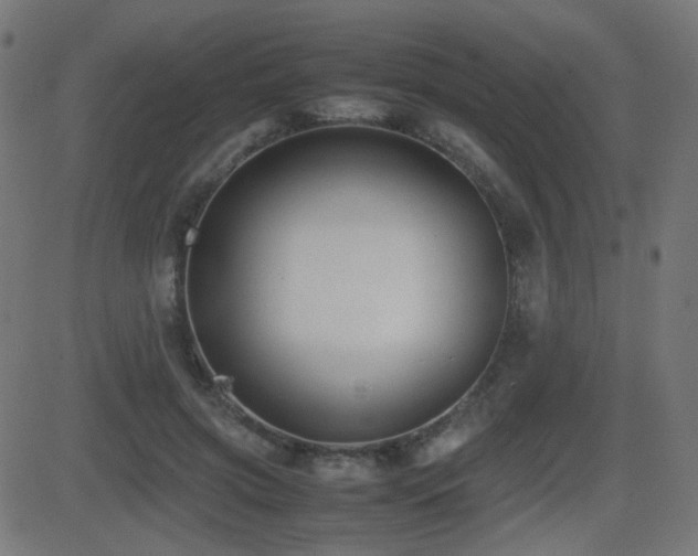 X0000081310549200701111311