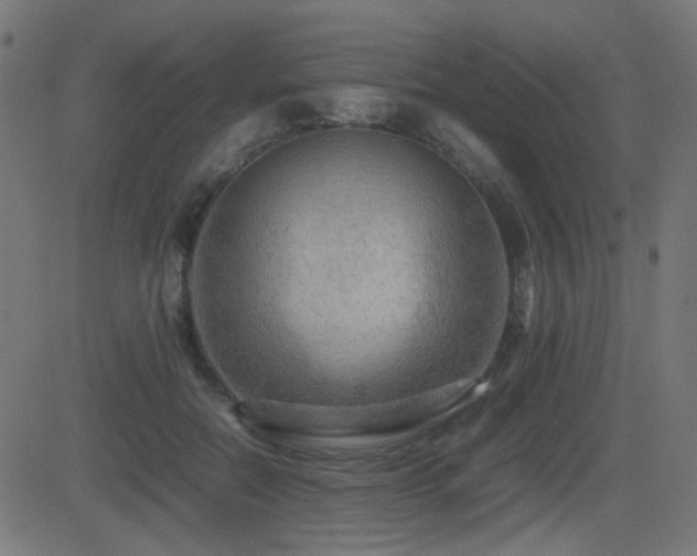 X0000081310554200701111311