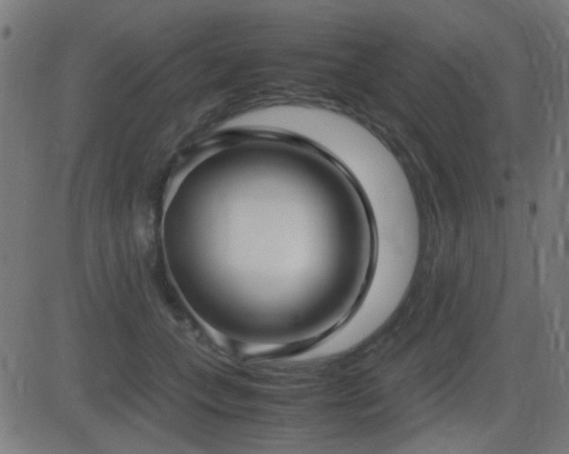 X0000081310559200701111311